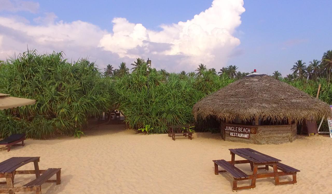 Jungle Beach Ahungalla Exteriér fotografie